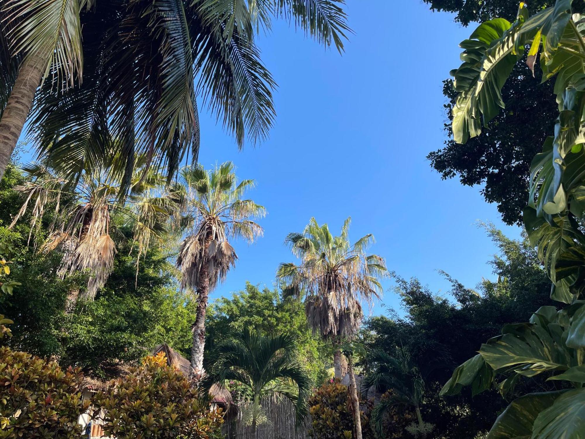 בקאלאר Villa Santuario Lake Front Oasis מראה חיצוני תמונה